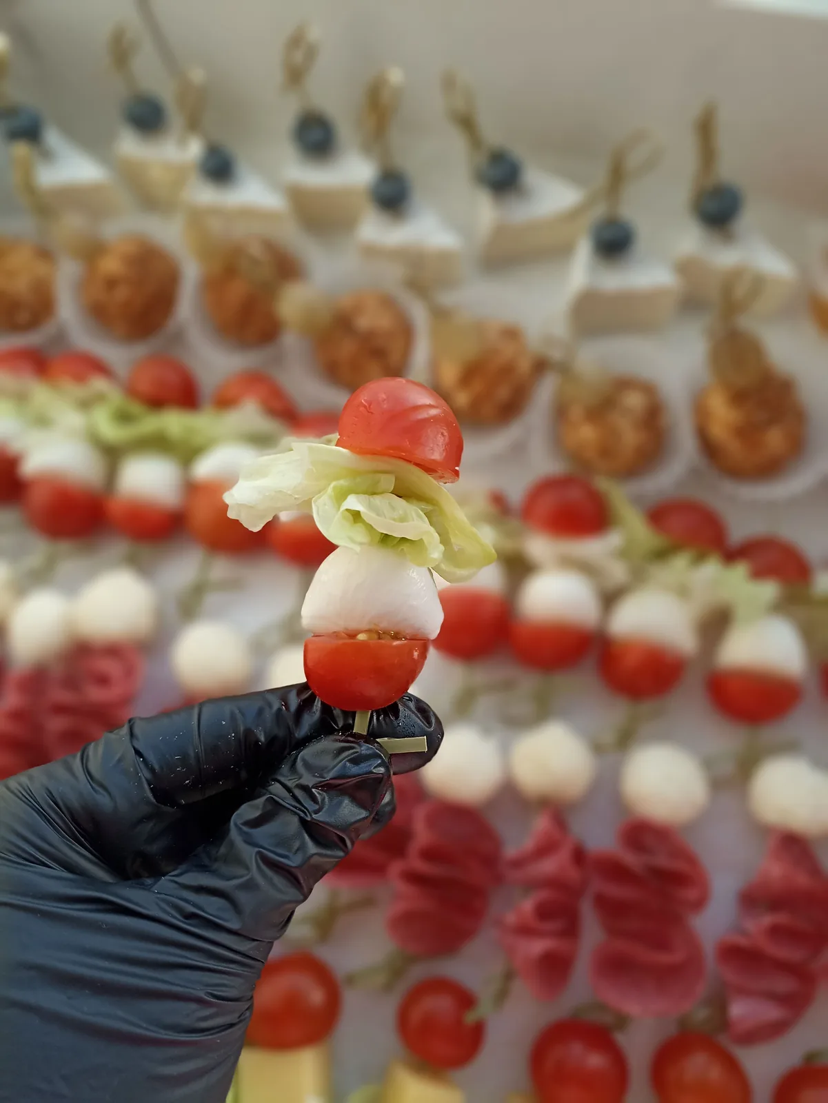 Сет "Канапе"